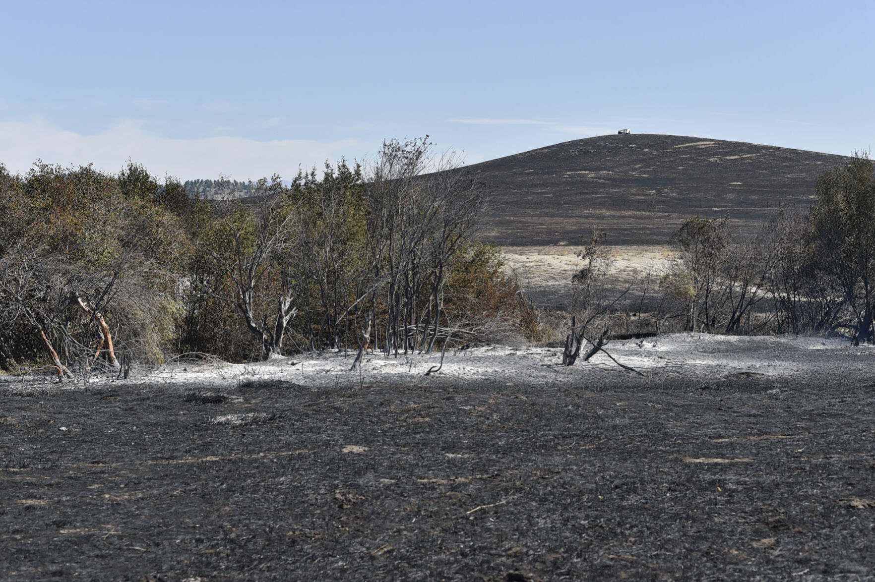 The Prickly Pear Land Trust's Seven Mile Creek site